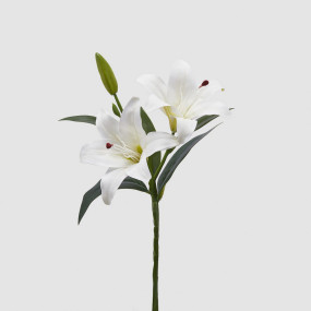 Lírio - 40cm